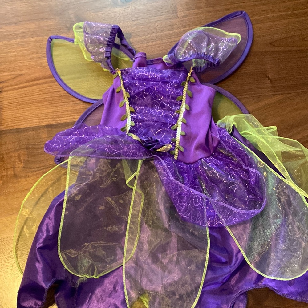 Toddler sprite costume with wings